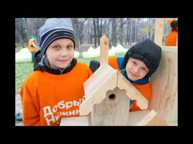 Наша помощь птицам